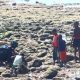 Satgas TMMD Ke-128 Kodim 1801/Manokwari Bersama Anak-Anak Kampung Tanah Rubuh Cari Ikan Bersama