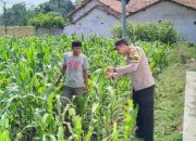 Dari Sawah ke Dialog Warga, Bhabinkamtibmas Kedung Galeng Serap Aspirasi Petani