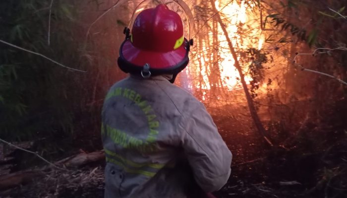 Bambu Terbakar di Belakang Perumahan Bogowonto, Damkar Probolinggo Berjibaku Padamkan Api