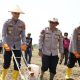 Tanam Jagung Kuartal III 2026 di Indramayu, Polri Dorong Petani Dari Hulu Hingga Pascapanen