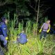 GEGER PENEMUAN MAYAT DI HUTAN SUMBER, POLRES PROBOLINGGO LAKUKAN PENYELIDIKAN