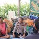 Dekat dengan Petani, Polres Majalengka Dengarkan Aspirasi Kelompok Tani Jagung Jatikersa