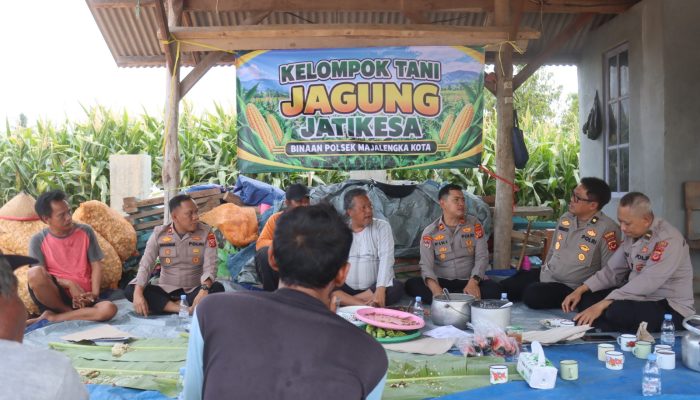 Lewat Ngariung Bareng, Polres Majalengka Dorong Petani Jagung Lebih Aman dan Produktif